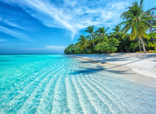 About Simplifly Maldives